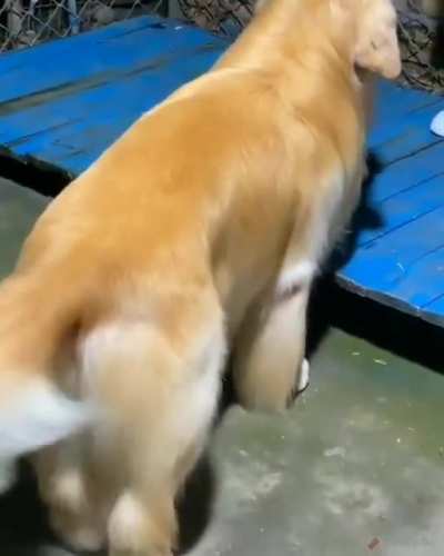 Silky smooth
