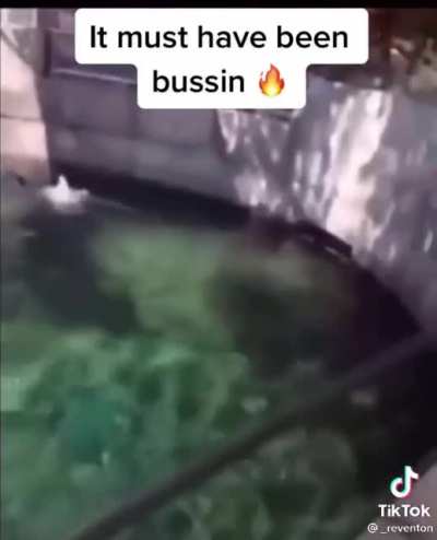Must be bussin