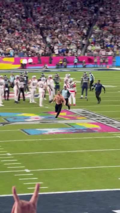 A fan rushed the field during the Super Bowl.