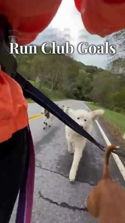 The best running buddies ever!