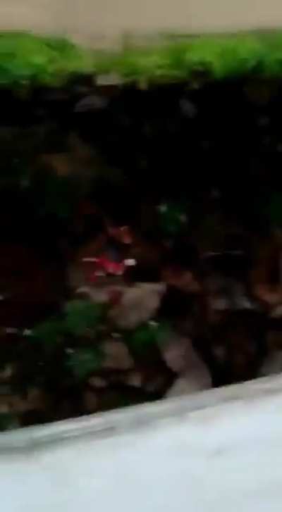 morreu