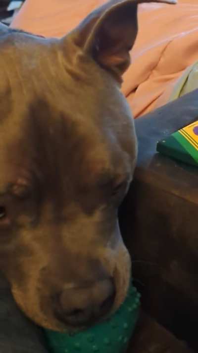 No take, only throw