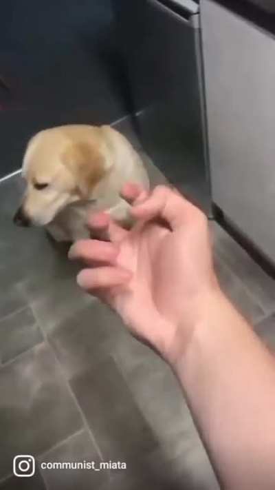 ZA HANDO