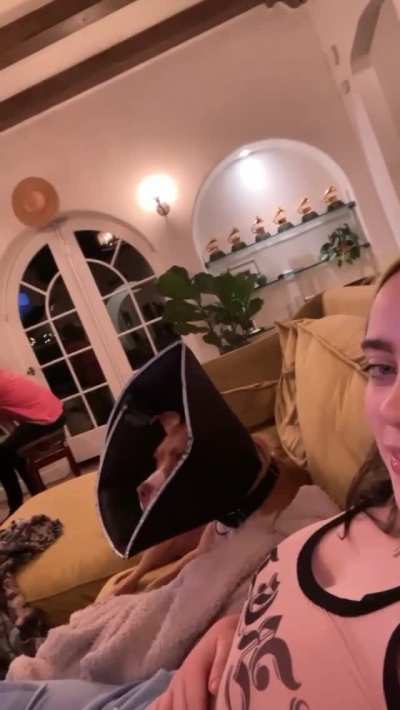 Billie Eilish slapping her tits on instagram