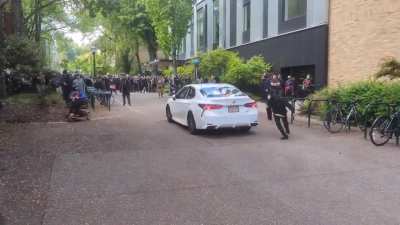 Man armed with bear spray and a car drives towards a group of Pro-Palestine protesters in Portland State University, Oregon before fleeing