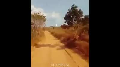 UFO approaches calf and then moves away as cameraman approaches, Chos Malal, Argentina, July 20, 2021.