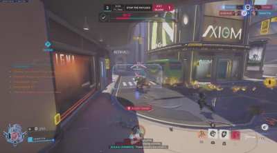 New brig bug!