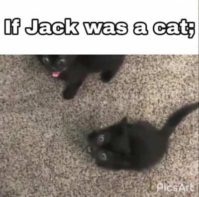 Accurate representation of Jack in n his cat form.