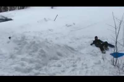 Human Snowboarding
