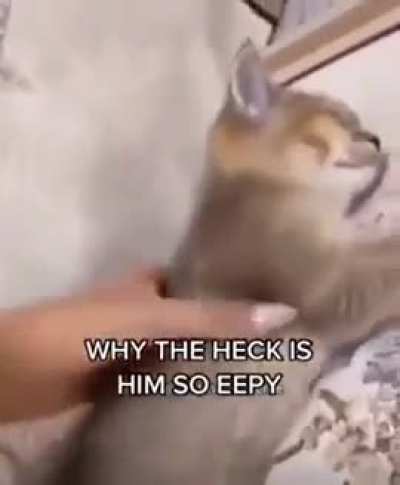 eepy wunk
