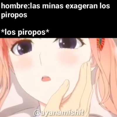 Xd