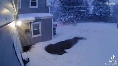 Not going to work today