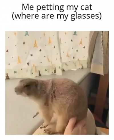 Me petting my Rule