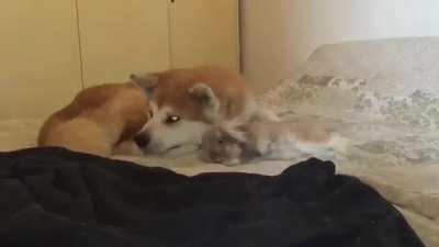 pay attention to me