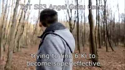 The Dokkan Experience