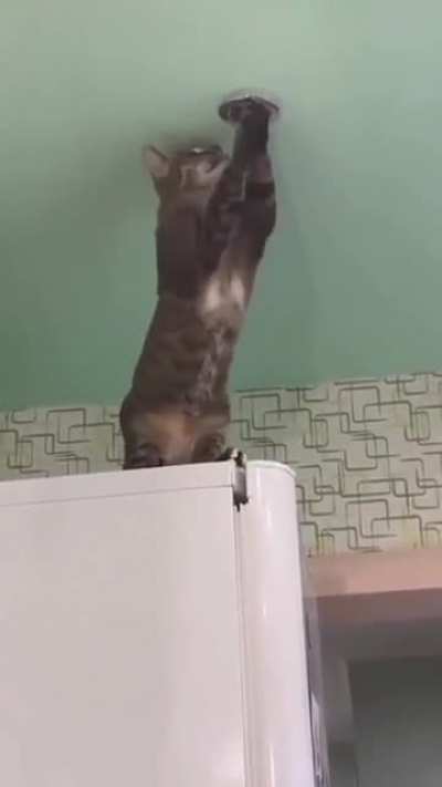 Aaaaaaaaa