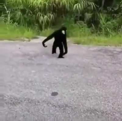 Police - when they see you recording them.