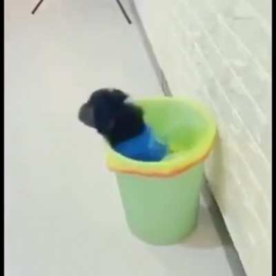 Thats violation