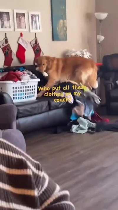 When you don&rsquo;t care about clean laundry because you don&rsquo;t wear clothes