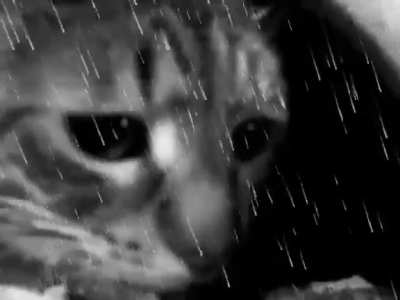 Rainy day