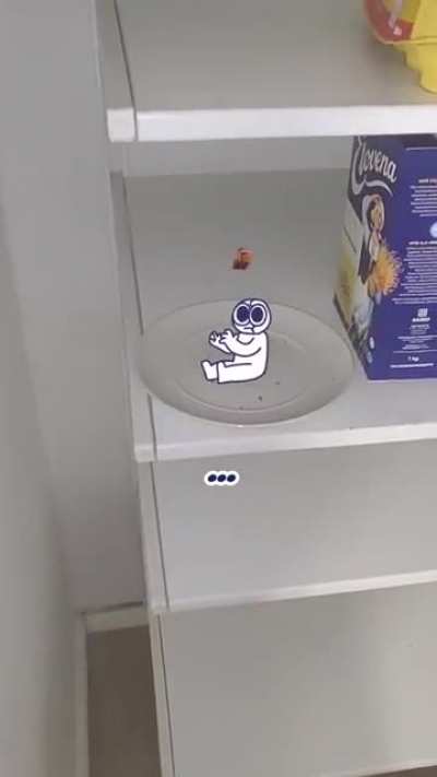 Where&rsquo;s my cookie?