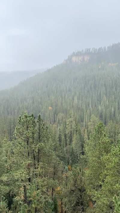 Snow near Cheyenne Crossing!