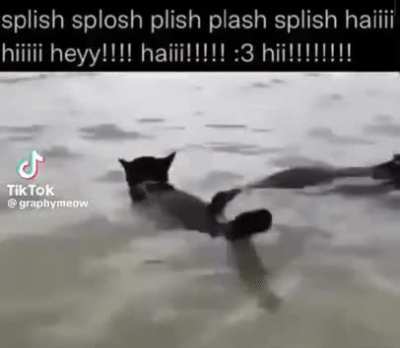 swimn