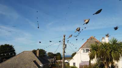 I cut and pasted everything that flew past my window in one minute.