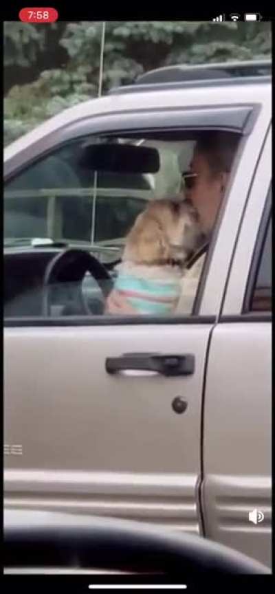 If you don&rsquo;t make out with your dogs&hellip;..