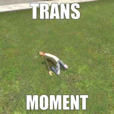 Trans lol