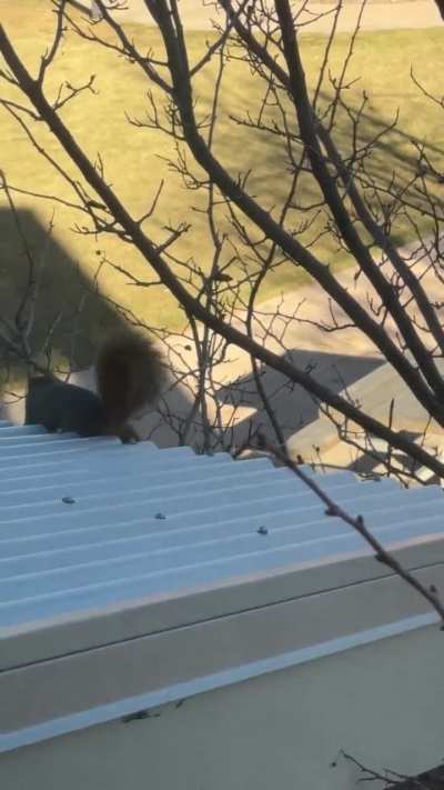 Why&rsquo;s this guy being weird and loud at the front entrance to my apartment building?