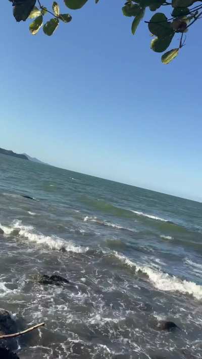 He said he just wanted to go to the beach&hellip; and all I wanted was to such his cock