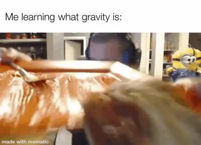 The food has fallen