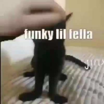 rule