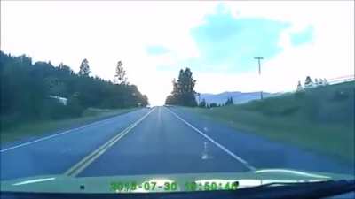 Deer gets launched