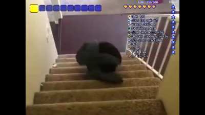 Terraria gameplay