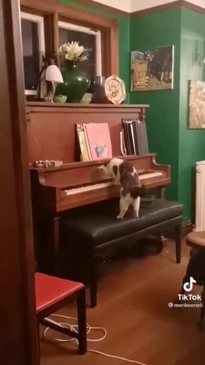 You&rsquo;re laughing. I&rsquo;m composing my magnum opus and you&rsquo;re laughing..