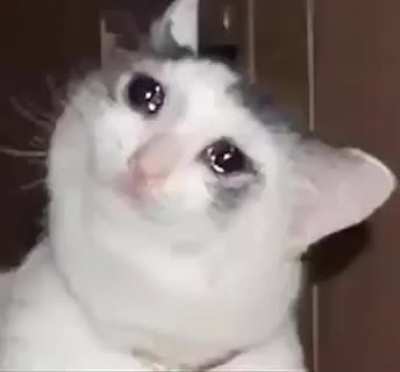 .....