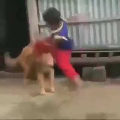 Jiu-jitsu