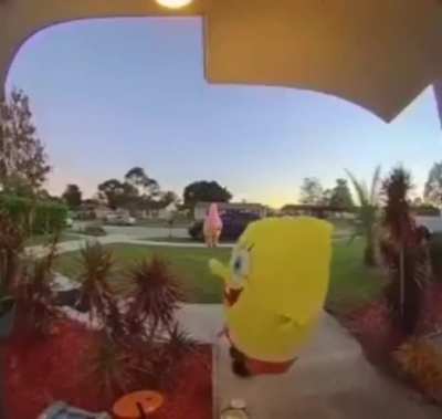 careful spongebob