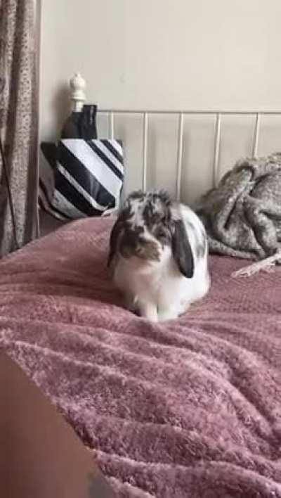 What is he plotting?!