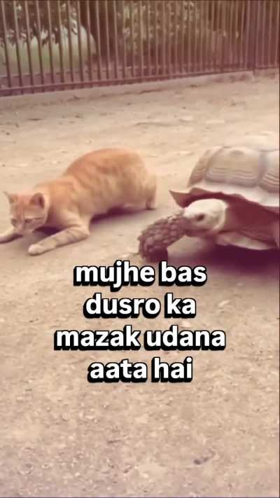 Maza aata hai
