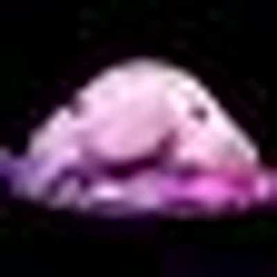 Blobfish