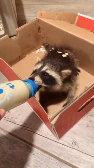 He did a discover