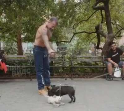 EviL FuCk FoRcES PuPPy to PerForM iN fREak ShoW