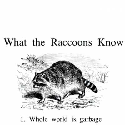 The best description of this sub that i could find (meta)