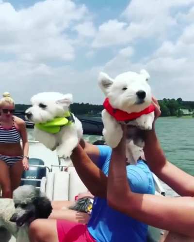 Sky Paddling