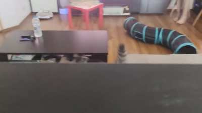 She started spying on me and I can't even...