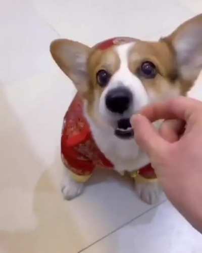 No more games or I&rsquo;ll bite off one of your fingers