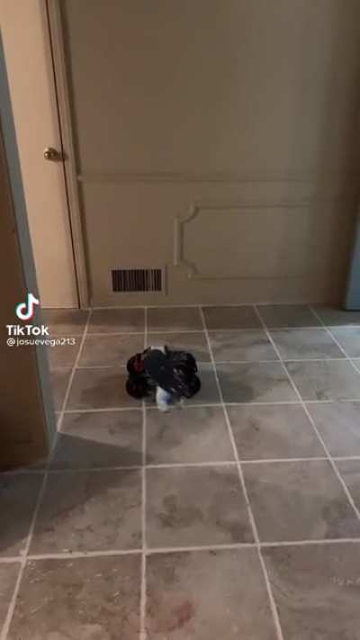 Little buddy&rsquo;s gotta go
